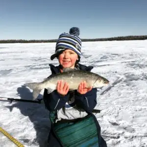 Master-Angler-Tulibee-Icebound-Excursions-1024x1024